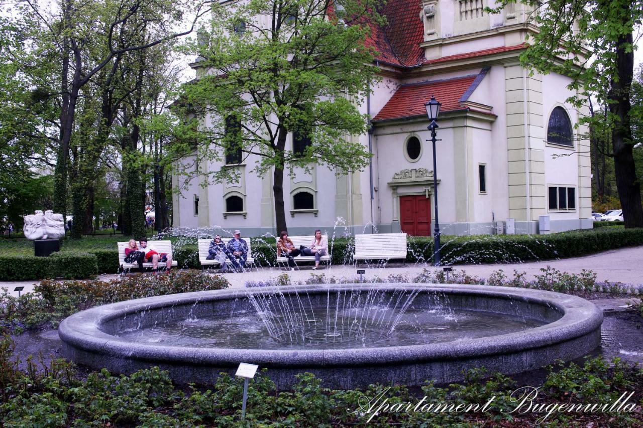 Bugenwilla Sopot
