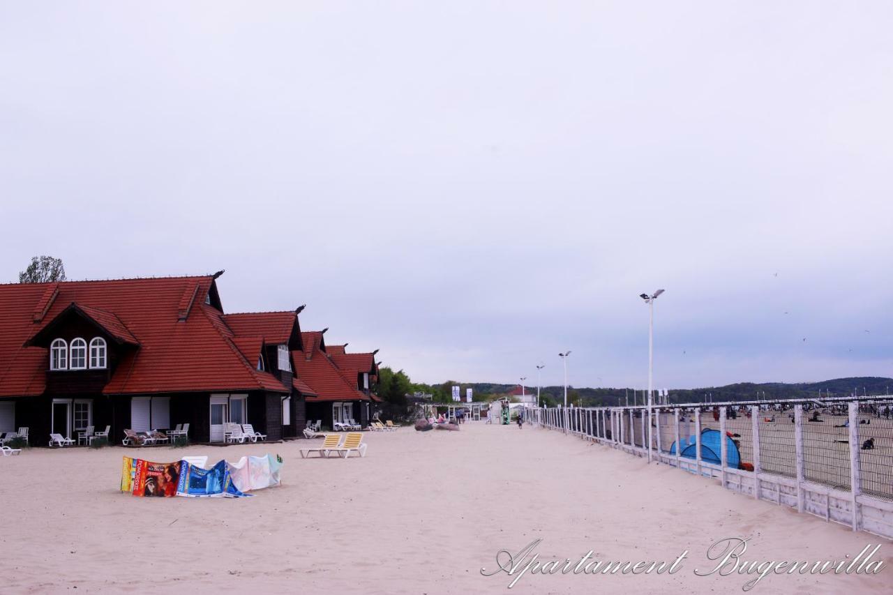 Bugenwilla Sopot